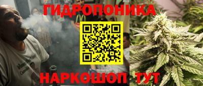 стаф Донецк