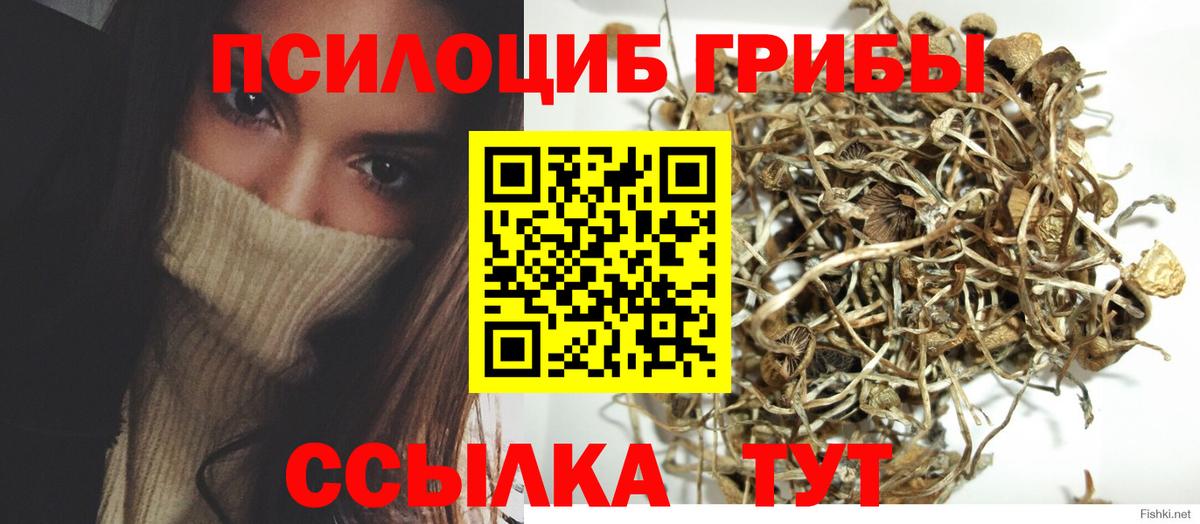 Галлюциногенные грибы Magic Shrooms  купить  цена  Галлюциногенные грибы Psilocybe  Магадан  Вход с VPN 